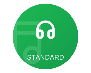 Накрутка прослушиваний Spotify Стандарт
