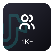 Пакет 1000 подписчиков TikTok
